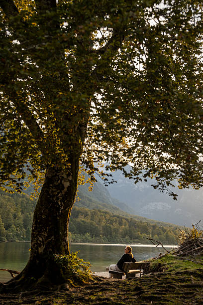 istock Woman Sitting on Bench by Mountain Lake Under Large Tree 2252085181
