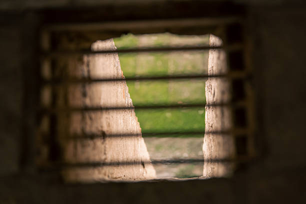 dimly lit grate revealing distant greenery, blurred landscape framed by concrete edges and rusty bars, intimate peek into exterior from underground space, moody contrast and soft
