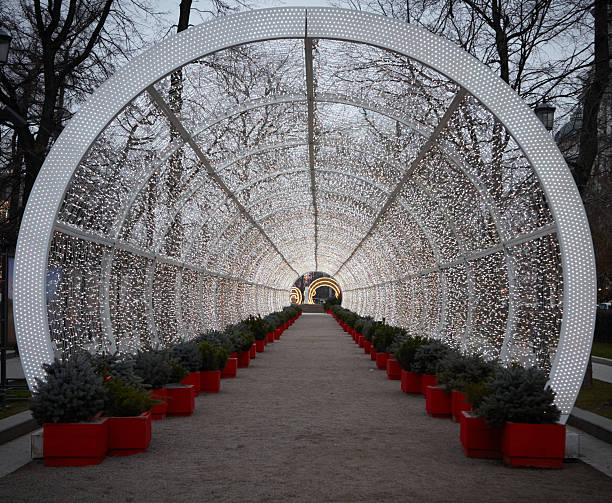 istock Festive archway illuminated by twinkling lights, flanked by potted spruces, creating a magical holiday atmosphere for seasonal celebrations 2252085707