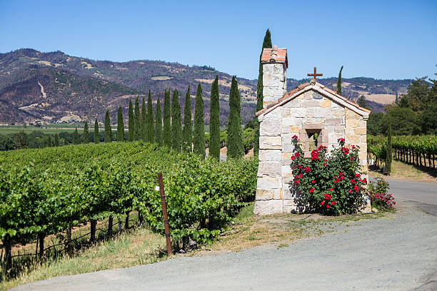 Small stone church sits in a napa winery with mountains in the distance. There are roses surrounding the church.