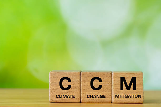istock CCM environmental symbol. Concept of climate change mitigation on wooden blocks. Copy space. Beautiful green background 2252088196