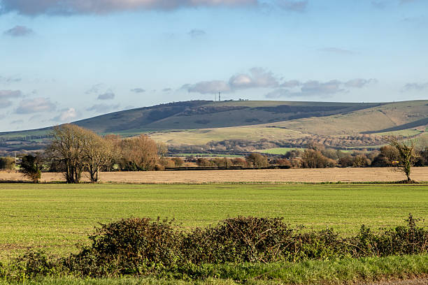 istock A rural South Downs landscape, with bare trees in the fields 2252089464