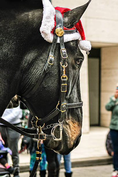 The Horseguards Parade London England