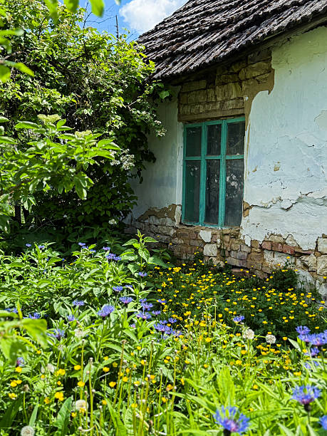 istock Countryside cottage with vibrant wildflowers in spring 2252093309