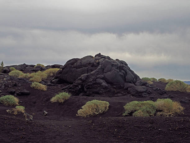 Volcanic Rock Landscape with Bushes