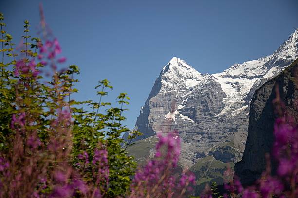 istock Snow-capped Eiger or Monch peak in the Swiss Alps 2252098317