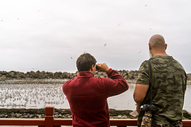 istock Father and son birdwatching together at the coast 2252101672