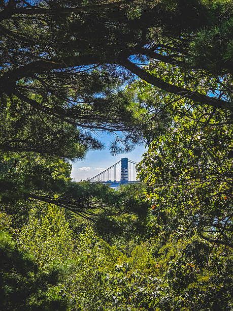 istock Summer day in the big apple 2252102785
