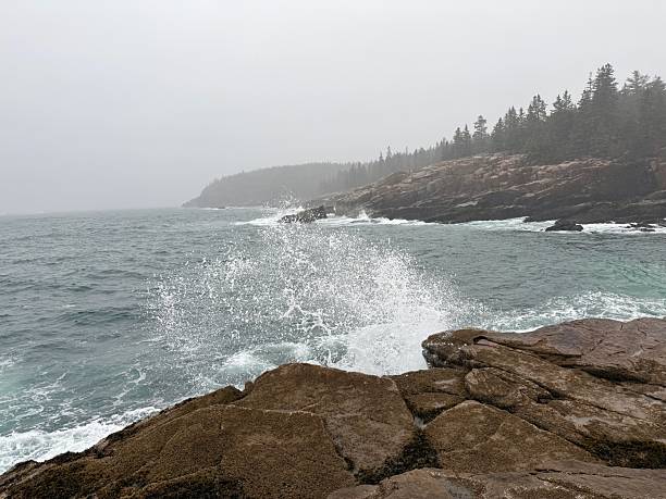 istock Acadia national park next to rocky shore 2252108419
