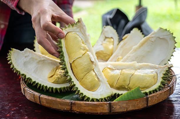 istock Cropped shot view of someone touching a durian before eat it. 2252108483