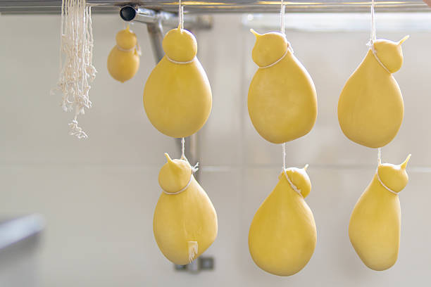 Artisanal Cheese from Jequitinhonha Valley, Brazil