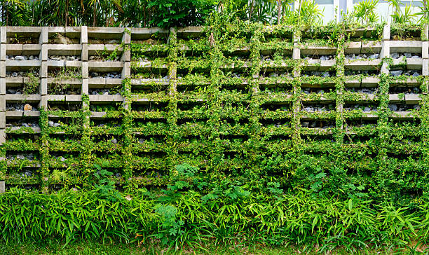 Concrete Grid Retaining Wall Covered in Green Creeping Vines