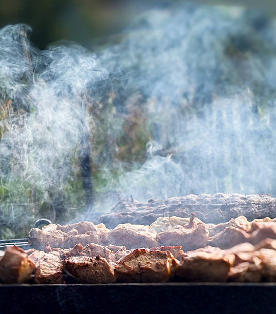 Pork meat pieces grilling on skewers over hot coals, creating smoke outdoors. Traditional barbecue food preparation