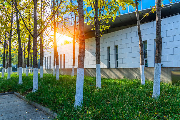 istock Urban landscape at sunset 2252117540