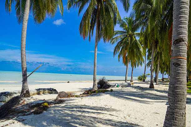 istock Tropical Island Escape with Blue Sky and Palm Tree Shadows 2252122118