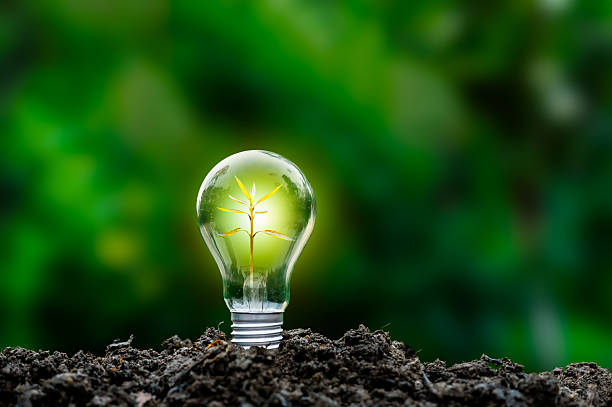 istock Renewable energy concept Earth Day or environment protection Hands protect forests that grow on the ground and help save the world. 2252125800
