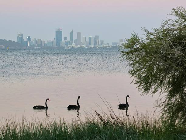 Perth, Western Australia.
