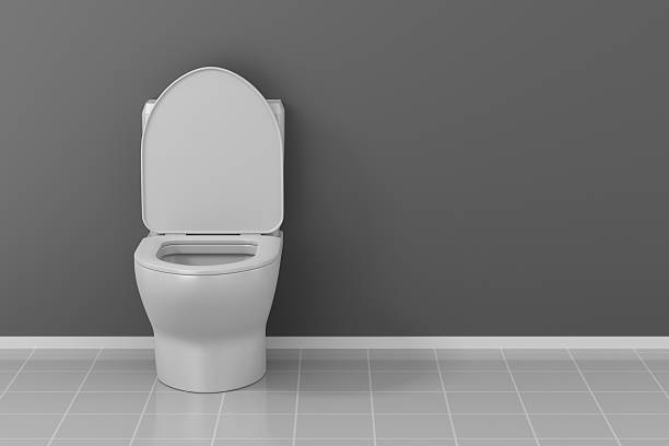 istock Water closet in bathroom. 3D illustration 2252134199