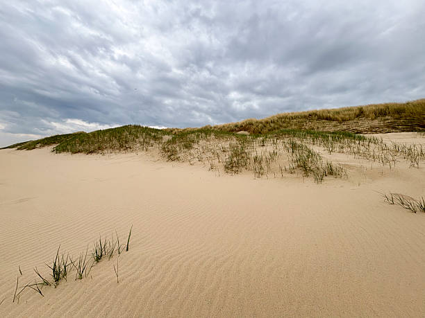 istock Storm clouds over the North Sea beach 2252138219