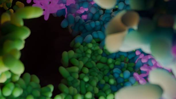 A conceptual 3D CG illustration visualizing the gut microbiota inside the human colon.The image represents a diverse community of gut bacteria living together in balance, highlighting the importance of microbial diversity for gut health.Suitable for medical, pharmaceutical, biotechnology, healthcare, wellness, and social media content related to the human microbiome, digestion, and immune system.It is a work created by CG, not created by AI. It was designed and created by myself.