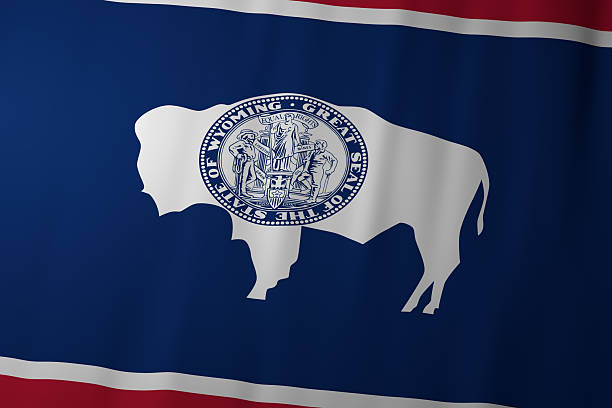 The official flag of Wyoming featuring a white bison silhouette with the state seal centered on a deep blue field with red and white borders. The design symbolizes frontier heritage, strength, and the equality ideals of the U.S. state.