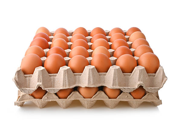 istock two Eggs in carton box . Chicken eggs in packaging isolated on white background. 2252144472