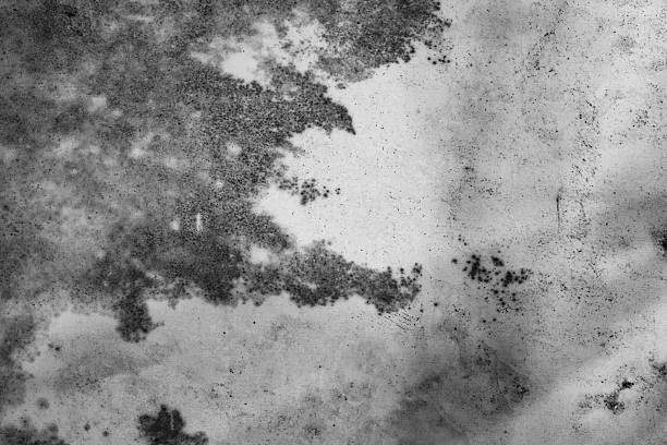 A weathered surface featuring irregular stains, smudges, and aged paint. Ideal for backgrounds, textures, and design concepts conveying age, decay, and mystery. Grunge Texture Design Element.