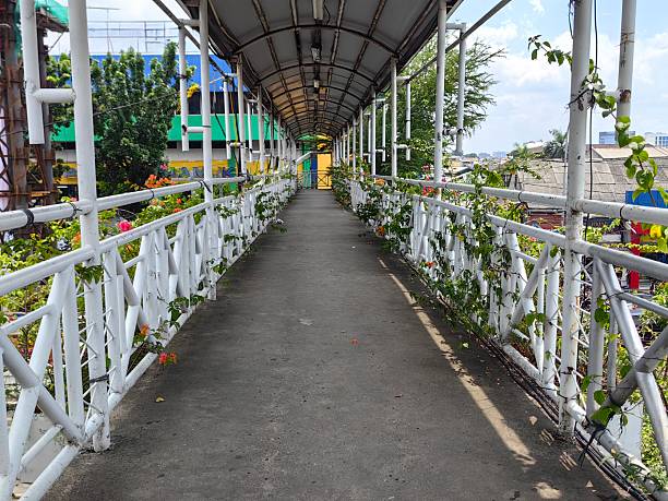 istock People Crossing Bridge with covers, white fences, and vines along its sides, creating a more natural atmosphere in urban environments. 2252152302