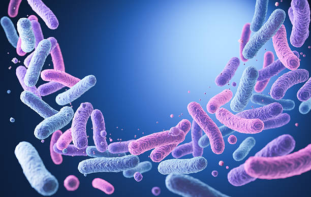 istock Lactobacillus bacteria, probiotic medical background 3d illustration. 2252154795
