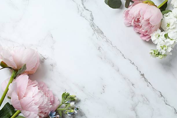 istock Top view of beautiful pink peonies, space for text 2252154802