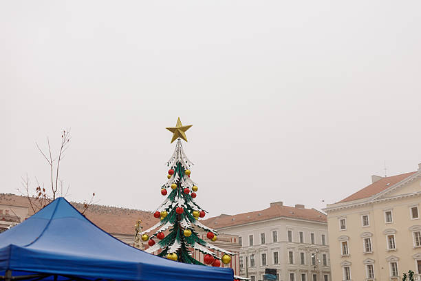 Christmas tree with star on the top and old buildings in Timisoara old town square in western Romania