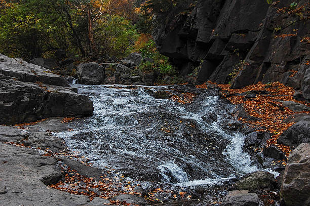 istock Autumn River with Flowing Water and Fallen Leaves 2252164478