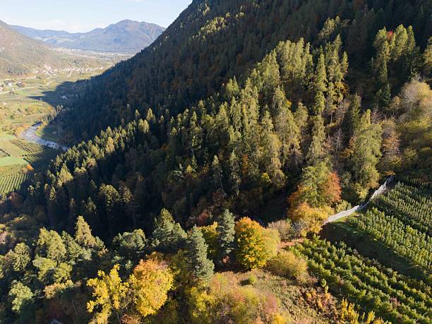 Trentino - aerial view - Val di Sole, Val di Pejo , fiume Noce