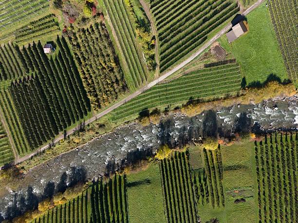 Trentino - aerial view - Val di Sole, Val di Pejo , fiume Noce