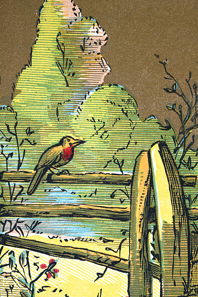 Bird, robin redbreast sitting on a fence, Vintage illustration, Victorian 19th Century