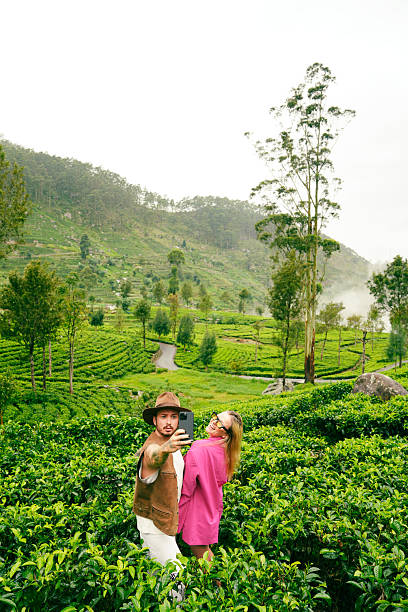 istock Beautiful misty mountain landscape with vibrant tea plantations, dense greenery, and scattered trees, Sri Lanka 2252173967