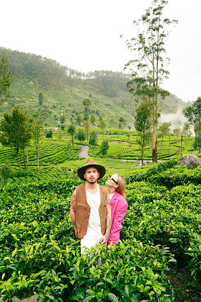 istock Beautiful misty mountain landscape with vibrant tea plantations, dense greenery, and scattered trees, Sri Lanka 2252174006