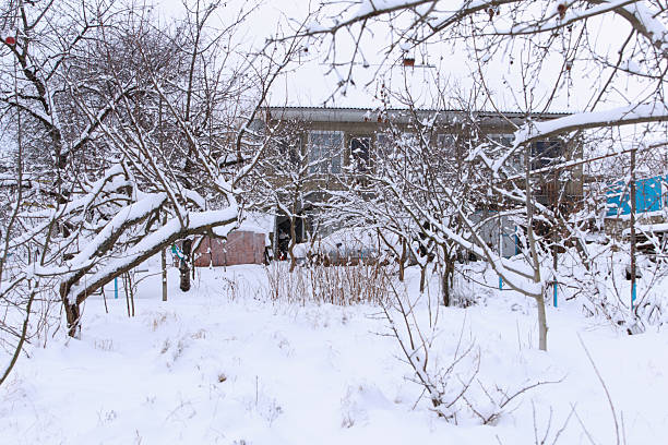 istock A snowy landscape with a house surrounded by bare trees 2252185789