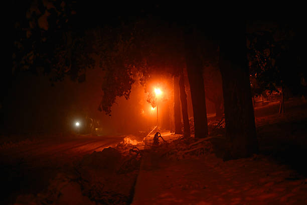 Snow-covered path at night illuminated by orange streetlights in a foggy, eerie winter forest