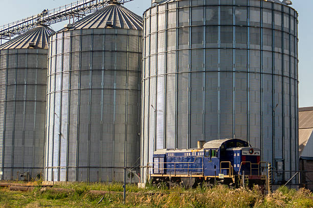 A train is parked in front of a row of silos. The train is blue and has a red stripe