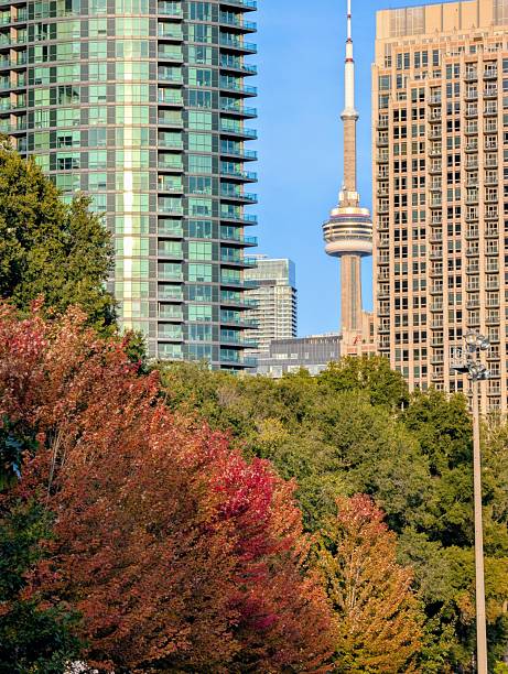 istock Toronto Cityscape with CN Tower and Autumn Foliage 2252190357