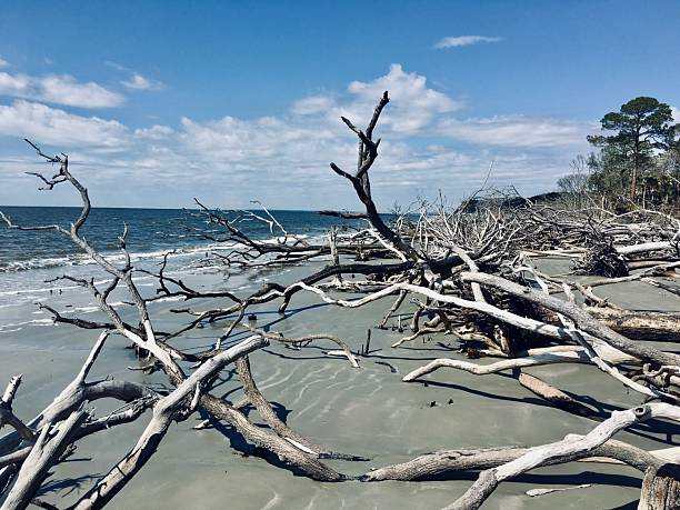 istock Jekyll Island, Georgia 2252190962