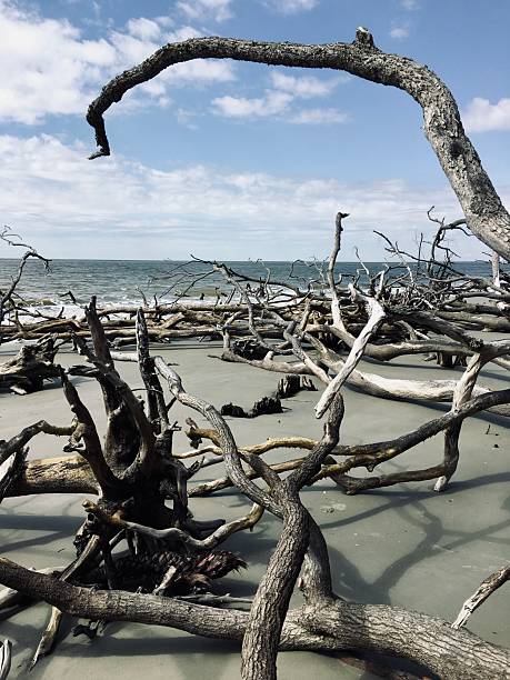 Jekyll Island, Georgia
