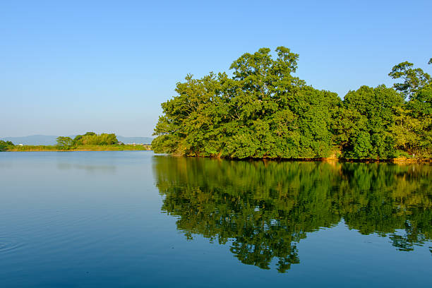 Autumn Forest Landscape Reflected in the Calm Water of a Lake with an Overcast Sky