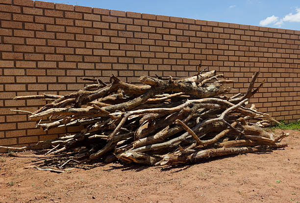woodpile stack, large pile of assorted ,dry mopane firewood, tree branches and logs, firewood on dusty ground outdoors, next to a tan brick wall under a blue sky, Botswana , Africa