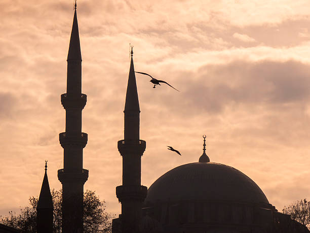 istock Istanbul mosque silhouette with birds flying at sunset 2252206403