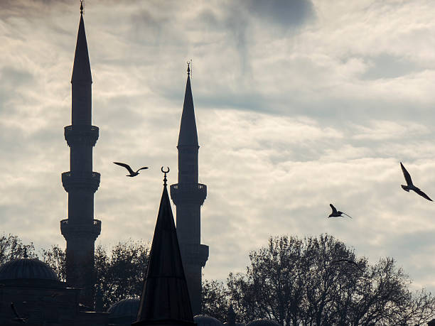 istock Istanbul minarets silhouette with flying birds in cloudy sky 2252206466
