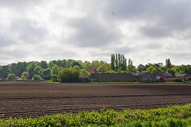Scenic view of rolling green fields and trees on a sunny summer day