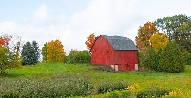 istock Red Barn- Northern Michigan 2252208415
