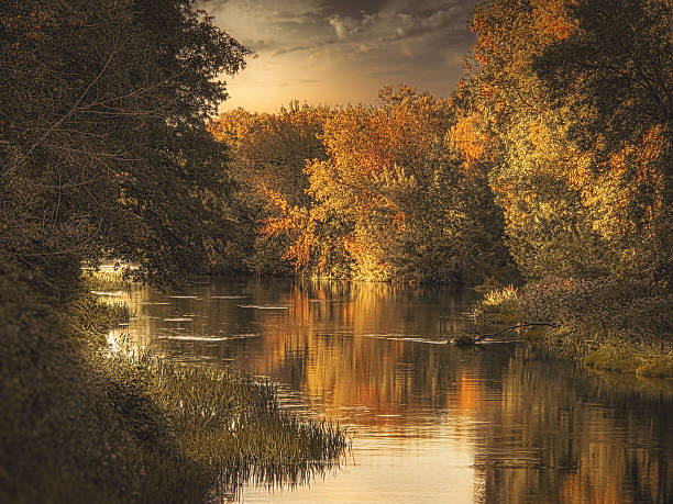 Autumn by the river, nostalgic nature.